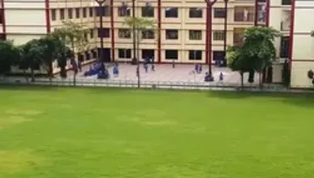 school